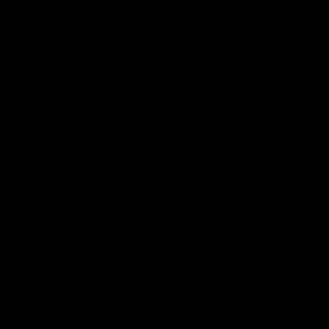 Meet your Posher, Nellie